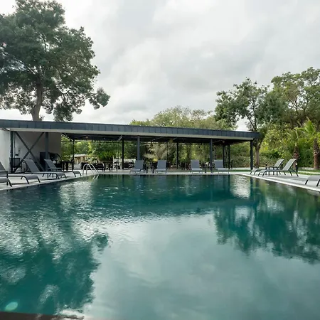 Verona فندق أجفا